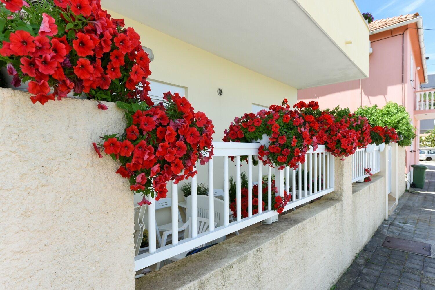 Apartments Kolt - 15M From Sea 칼리 외부 사진